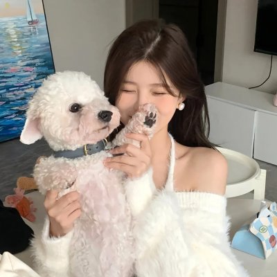 飞燕迎春